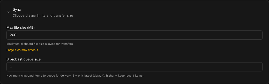 Settings Sync card, captured from a session with an edited Max file size (MB) of 200 — not the shipped default of 10 — which also triggers the "Large files may timeout" warning; Broadcast queue size is 1, which is the default